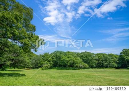 爽やかな公園風景 爽やかな公園風景 139409350