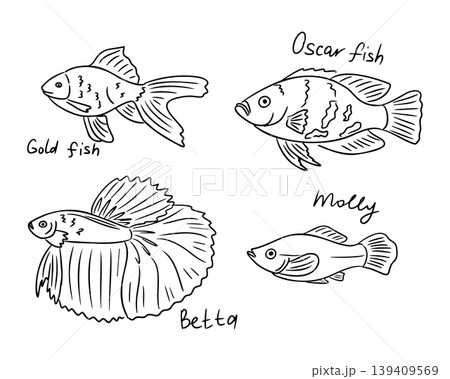 Illustration of four distinct fish species including Goldfish, Oscar fish, Betta, and Molly, each labeled with their names in a simple black and white design 139409569