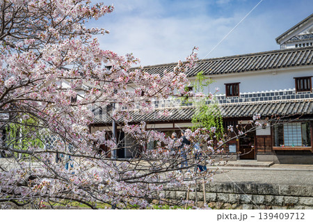 倉敷市 倉敷川と桜 倉敷市 倉敷川と桜 139409712
