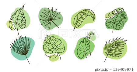 Tropical leaves vector set with palm, monstera, philodendron and caladium foliage on green blobs, hand drawn botanical outline collection of exotic jungle leaf elements Tropical leaves vector set with palm, monstera, philodendron and caladium foliage on green blobs, hand drawn botanical outline collection of exotic jungle leaf elements 139409971