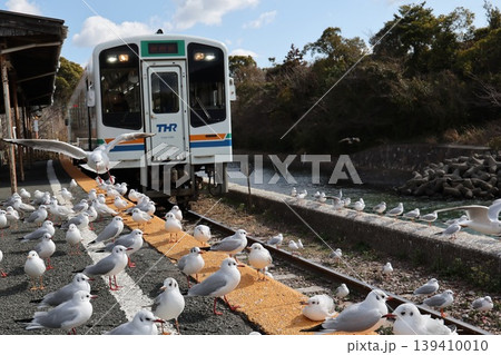 浜名湖佐久米駅のゆりかもめ 浜名湖佐久米駅のゆりかもめ 139410010