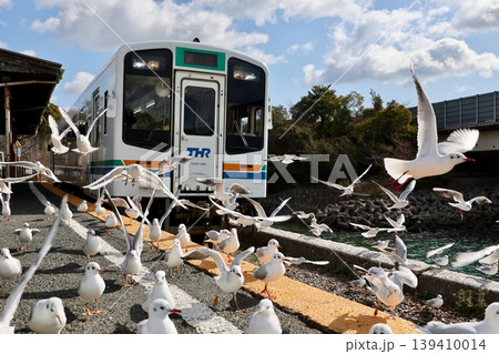 浜名湖佐久米駅のゆりかもめ 浜名湖佐久米駅のゆりかもめ 139410014