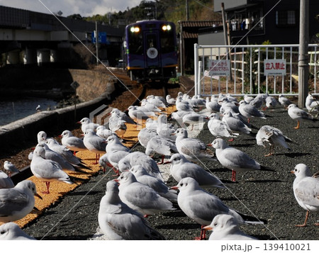 浜名湖佐久米駅のゆりかもめ 浜名湖佐久米駅のゆりかもめ 139410021