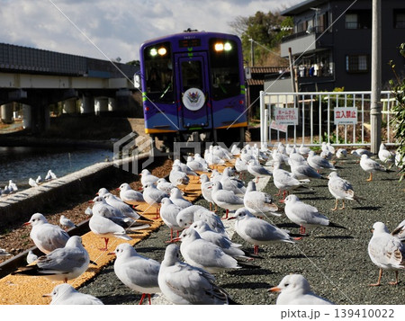 浜名湖佐久米駅のゆりかもめ 浜名湖佐久米駅のゆりかもめ 139410022