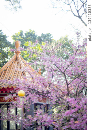 台湾 新北 新北市 139410388