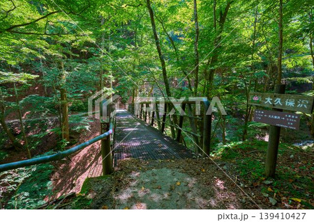 山梨県山梨市 西沢渓谷の大久保沢(おおくぼさわ)に架かる19号橋 139410427