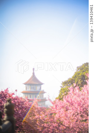 台湾 新北 新北市 139410461