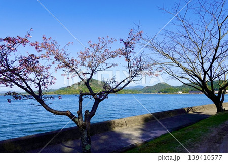 久美浜湾 久美浜気比線の如意寺前から久美浜湾の看板ごしに海を見た風景 京都府京丹後市久美浜町 久美浜湾 久美浜気比線の如意寺前から久美浜湾の看板ごしに海を見た風景 京都府京丹後市久美浜町 139410577