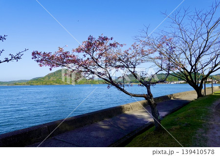 久美浜湾　久美浜気比線の如意寺前から久美浜湾の看板ごしに海を見た風景　京都府京丹後市久美浜町 139410578