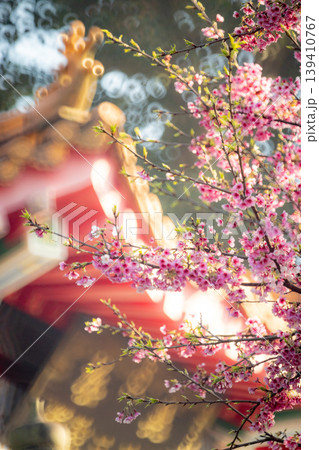 台湾 新北 新北市 139410767