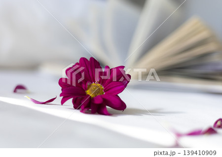 Pink flower on open book on table, soft still life composition, romantic mood, reading concept, springtime aesthetic. Pink flower on open book on table, soft still life composition, romantic mood, reading concept, springtime aesthetic. 139410909