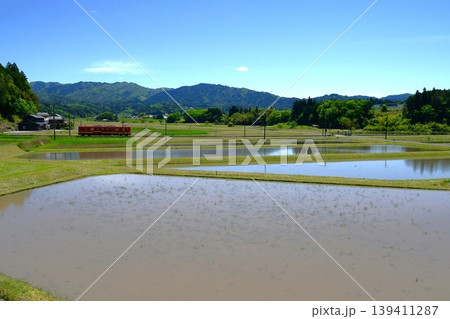 明知鉄道沿線の田植え風景 明知鉄道沿線の田植え風景 139411287