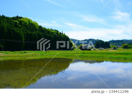 明知鉄道沿線の田植え風景 139411296