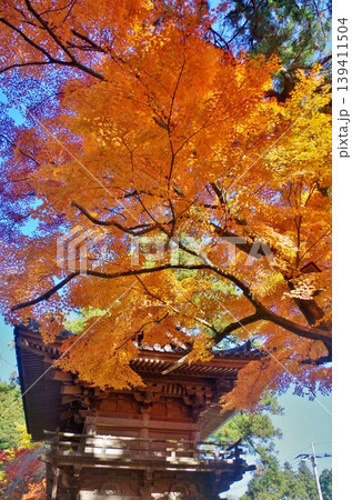 糸島市　雷山千如寺　金色に輝くもみじ　 139411504