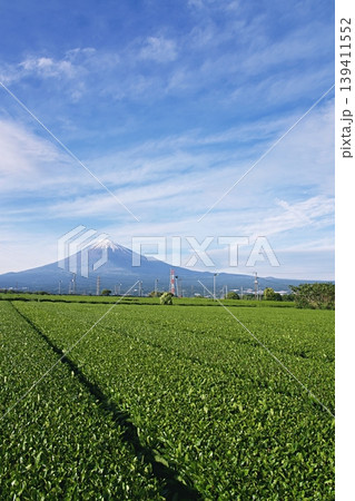 茶畑越しに富士山を見る 139411552