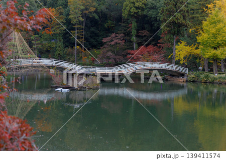 紅葉に映えるタイコ橋 紅葉に映えるタイコ橋 139411574