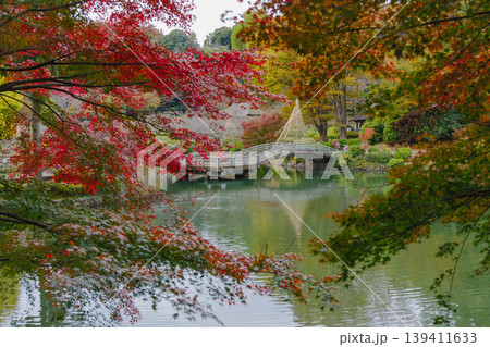 紅葉に映えるタイコ橋 139411633