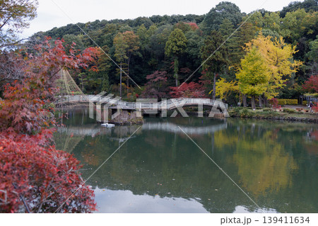 紅葉に映えるタイコ橋 紅葉に映えるタイコ橋 139411634