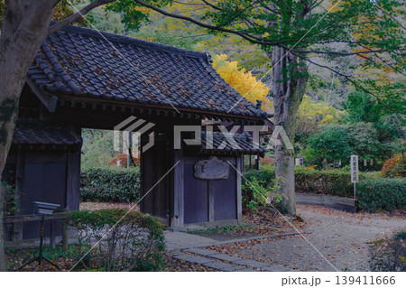 紅葉に包まれた薬師池公園の薬医門 139411666