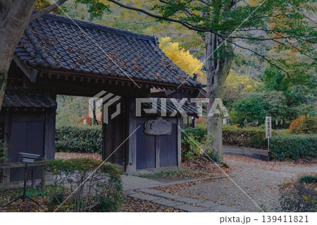 紅葉に包まれた薬師池公園の薬医門 紅葉に包まれた薬師池公園の薬医門 139411821