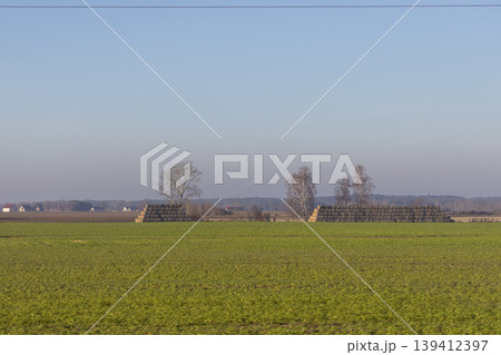 Vast green agricultural field with neatly stacked hay bales and bare trees under clear sky, depicting tranquil rural farming landscape and harvest Vast green agricultural field with neatly stacked hay bales and bare trees under clear sky, depicting tranquil rural farming landscape and harvest 139412397
