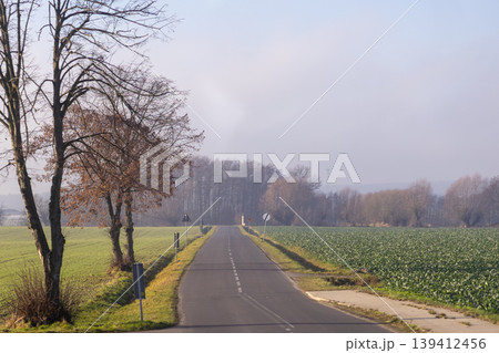 Quiet asphalt road winding through vibrant green fields and bare autumn trees under a hazy sky, symbolizing a tranquil journey and serene nature Quiet asphalt road winding through vibrant green fields and bare autumn trees under a hazy sky, symbolizing a tranquil journey and serene nature 139412456