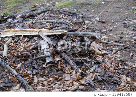 Forest floor covered with dry brown leaves, fallen twigs, and small branches, depicting natural decomposition, providing rugged earthy texture for outdoor background Forest floor covered with dry brown leaves, fallen twigs, and small branches, depicting natural decomposition, providing rugged earthy texture for outdoor background 139412597