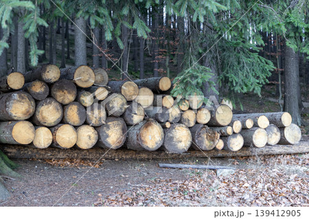 A large pile of freshly cut wooden logs stacked in a lush forest, symbolizing sustainable forestry and renewable timber resource management A large pile of freshly cut wooden logs stacked in a lush forest, symbolizing sustainable forestry and renewable timber resource management 139412905