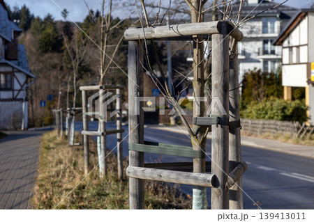 Newly planted bare trees are firmly supported by sturdy wooden frames along a paved urban sidewalk, showcasing city greening efforts and environmental protection initiatives in the community 139413011