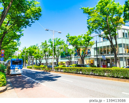 東京　新緑の表参道 139413086