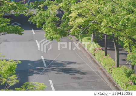 新緑と2車線の道路 139413088