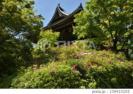 善峯寺 楼門 ツツジの頃(京都市西京区) 善峯寺 楼門 ツツジの頃(京都市西京区) 139413203