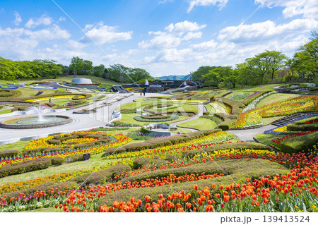 国営みちのく杜の湖畔公園 釜房湖 宮城県 国営みちのく杜の湖畔公園 釜房湖 宮城県 139413524