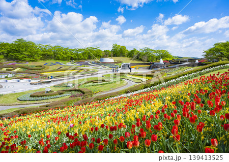 国営みちのく杜の湖畔公園　釜房湖　宮城県 139413525