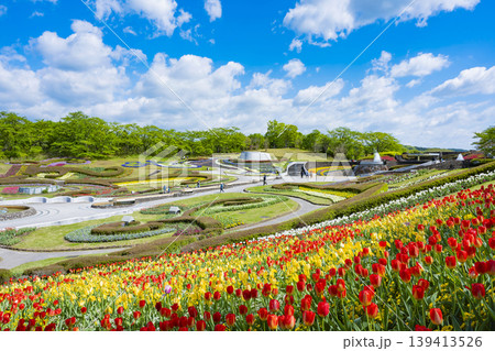 国営みちのく杜の湖畔公園　釜房湖　宮城県 139413526