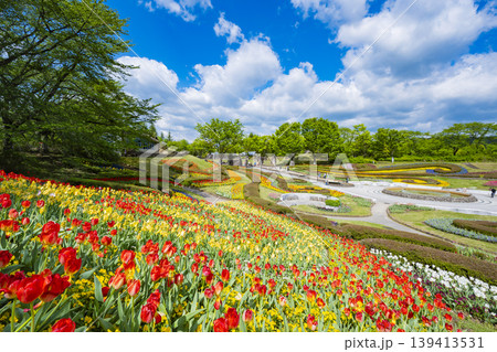 国営みちのく杜の湖畔公園 釜房湖 宮城県 国営みちのく杜の湖畔公園 釜房湖 宮城県 139413531