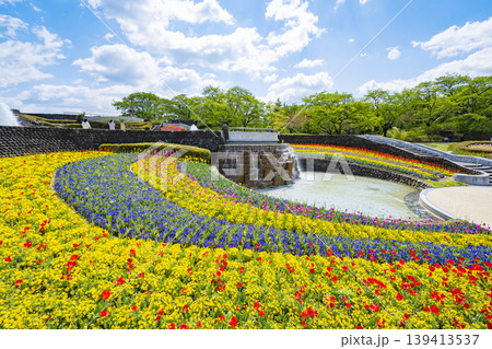 国営みちのく杜の湖畔公園　釜房湖　宮城県 139413537