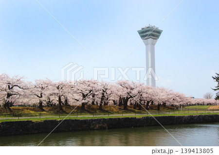 函館　五稜郭公園 139413805