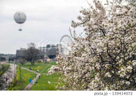Spring blossoms near the Vistula River in Krakow, Poland with a balloon in the sky 139414072