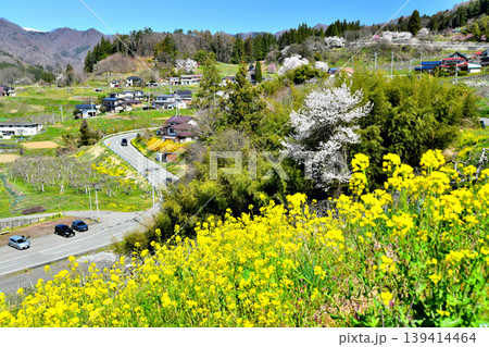長野県小川村の風景(長野県小川村)【2026.4】 139414464