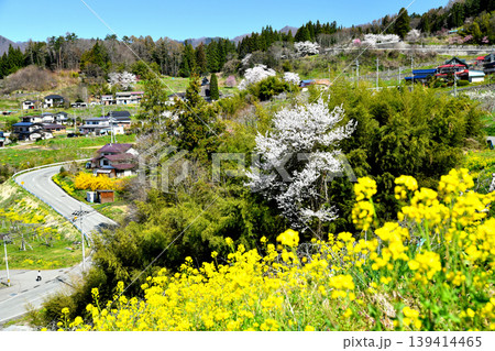 長野県小川村の風景(長野県小川村)【2026.4】 長野県小川村の風景(長野県小川村)【2026.4】 139414465