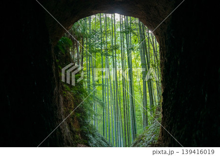 三重県 尾鷲市 土井竹林 洞窟の先にある竹林のイメージ 三重県 尾鷲市 土井竹林 洞窟の先にある竹林のイメージ 139416019