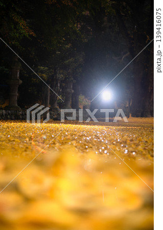 三重県 名張市 積田神社の紅葉 三重県 名張市 積田神社の紅葉 139416075