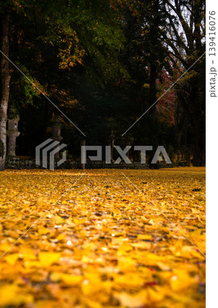 三重県 名張市 積田神社の紅葉 三重県 名張市 積田神社の紅葉 139416076
