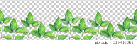 Green rosehip branch, watercolor seamless border. Hand drawn illustration of wildflowers and plants. Fresh, vibrant foliage for packaging tea, cosmetics, perfumes, and cards. Green rosehip branch, watercolor seamless border. Hand drawn illustration of wildflowers and plants. Fresh, vibrant foliage for packaging tea, cosmetics, perfumes, and cards. 139416365