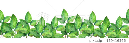 Green rosehip branch, watercolor seamless border. Hand-drawn illustration of wildflowers and plants. Fresh, dense foliage for packaging tea, cosmetics, perfumes, and cards. Green rosehip branch, watercolor seamless border. Hand-drawn illustration of wildflowers and plants. Fresh, dense foliage for packaging tea, cosmetics, perfumes, and cards. 139416366