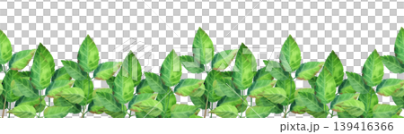 Green rosehip branch, watercolor seamless border. Hand-drawn illustration of wildflowers and plants. Fresh, dense foliage for packaging tea, cosmetics, perfumes, and cards. Green rosehip branch, watercolor seamless border. Hand-drawn illustration of wildflowers and plants. Fresh, dense foliage for packaging tea, cosmetics, perfumes, and cards. 139416366