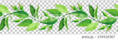 Green rosehip branch, watercolor seamless border. Hand drawn plant illustration. Fresh, vibrant foliage for packaging tea, cosmetics, perfumes, and cards. Green rosehip branch, watercolor seamless border. Hand drawn plant illustration. Fresh, vibrant foliage for packaging tea, cosmetics, perfumes, and cards. 139416367