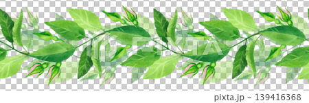 Green rosehip branch with buds, watercolor seamless border. Hand drawn plant illustration. Fresh, vibrant foliage for packaging tea, cosmetics, perfumes, and cards. Green rosehip branch with buds, watercolor seamless border. Hand drawn plant illustration. Fresh, vibrant foliage for packaging tea, cosmetics, perfumes, and cards. 139416368