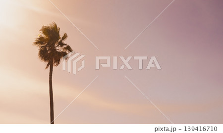 Lone palm silhouette stands against a soft pink sunset sky. Pastel gradient clouds and tropical leaves create a dreamy minimalist background for luxury summer branding Lone palm silhouette stands against a soft pink sunset sky. Pastel gradient clouds and tropical leaves create a dreamy minimalist background for luxury summer branding 139416710